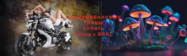 сатива Елабуга