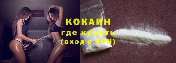 сатива Елабуга