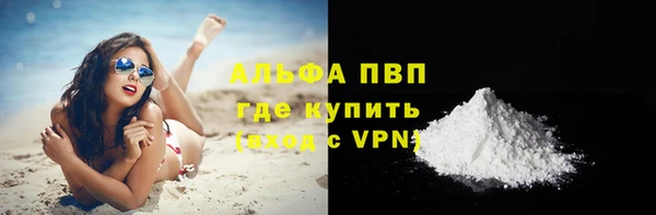 сатива Елабуга