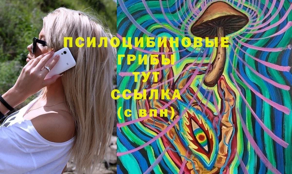 сатива Елабуга