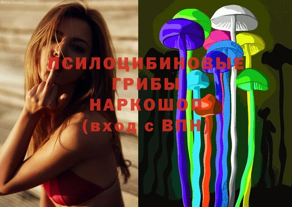 скорость Елизово