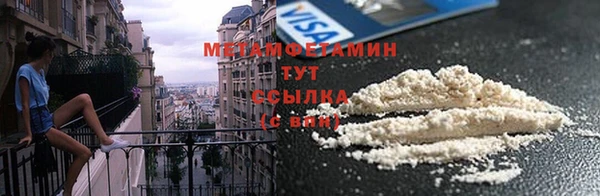 сатива Елабуга