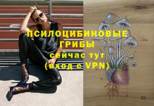 скорость Елизово