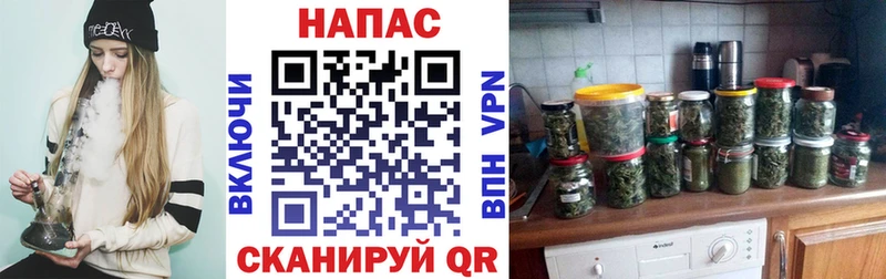Купить Будённовск Конопля сатива